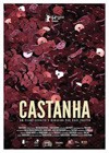 Castanha (2014).jpg